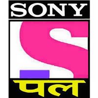 Sony pal